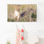 Banderoles Jeune lion (En situation)