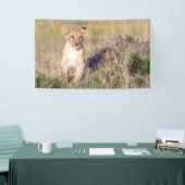 Banderoles Jeune lion (Salon professionnel)