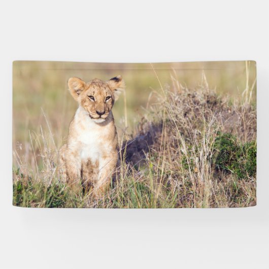 Banderoles Jeune lion (Horizontal)