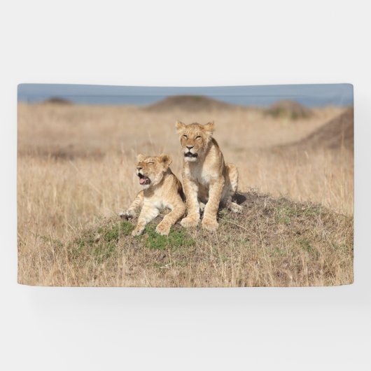 Banderoles Jeunes lions (Horizontal)