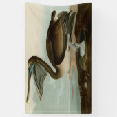 Banderoles John James Audubon Peinture Pélicane Brown (Vertical)