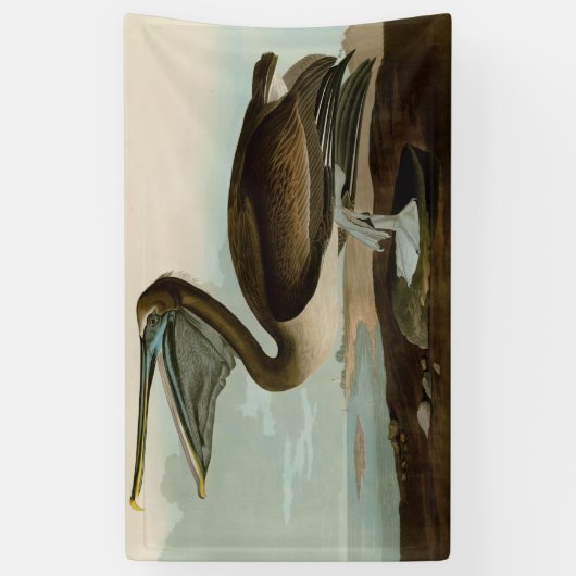Banderoles John James Audubon Peinture Pélicane Brown (Vertical)