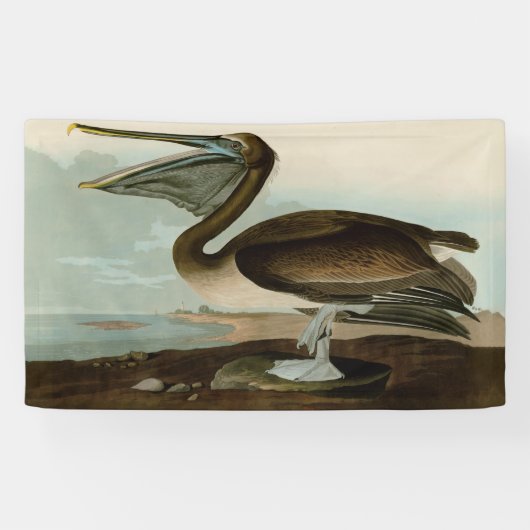 Banderoles John James Audubon Peinture Pélicane Brown (Horizontal)