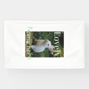 Banderoles Joli nom de photo de lapin de compagnie vert paste