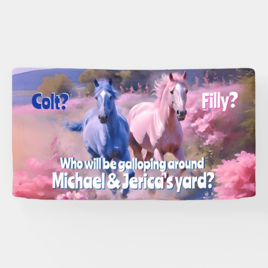 Banderoles Joli Style Occidental, Fileux Ou Colt (Horizontal)