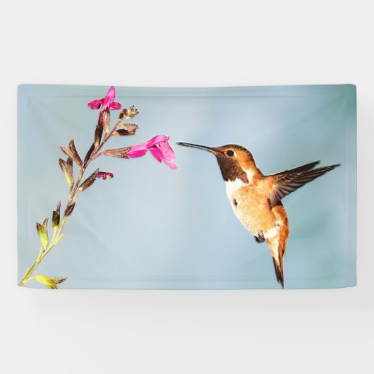 Banderoles La nature des colibris (Horizontal)