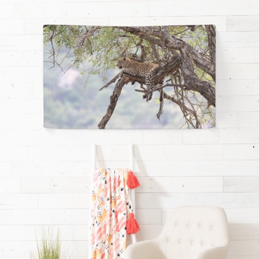 Banderoles Leopard sur un arbre (En situation)