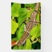 Banderoles Lézard italien (Verticale)