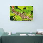 Banderoles Lézard italien (Salon professionnel)