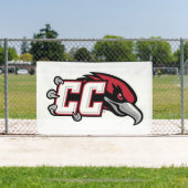 Banderoles Logo de CC Thunderbird (Insitu)
