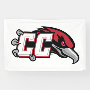 Banderoles Logo de CC Thunderbird