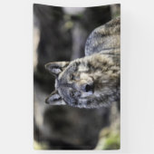 Banderoles Loup gris (Vertical)