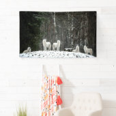 Banderoles Loup polaire sauvage (En situation)