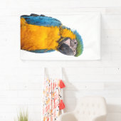 Banderoles Macaw bleu et or (En situation)