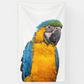Banderoles Macaw bleu et or (Vertical)