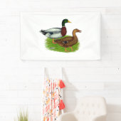 Banderoles Mallard Drake et Duck (En situation)