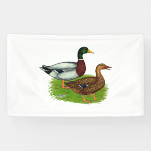 Banderoles Mallard Drake et Duck
