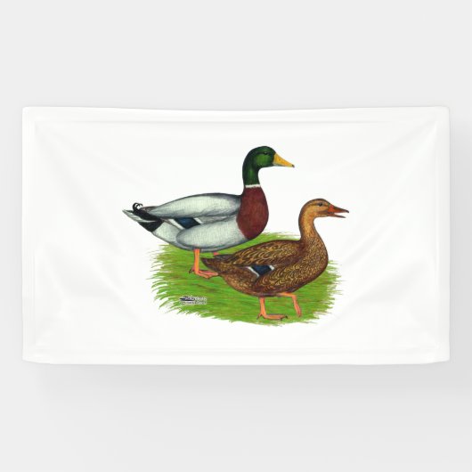 Banderoles Mallard Drake et Duck (Horizontal)