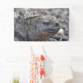 Banderoles Marine Iguana (En situation)