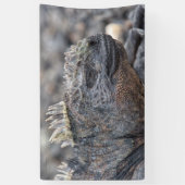 Banderoles Marine Iguana (Vertical)