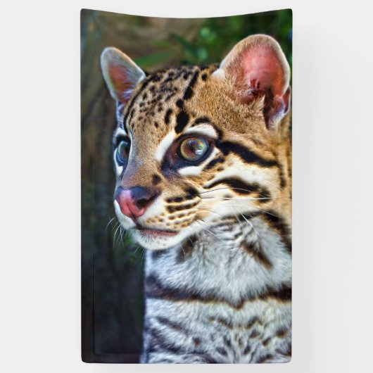 Banderoles Ocelot - Mini Jaguar sauvage (Vertical)