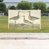 Banderoles Oiseaux de marais Courlis Oiseaux (En situation)