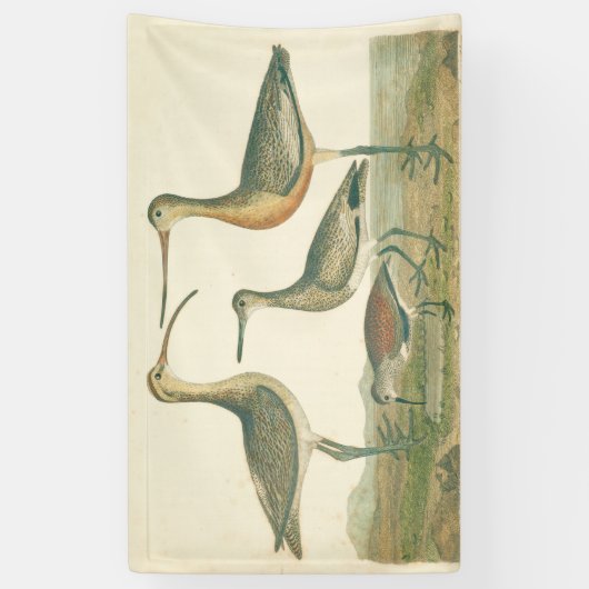 Banderoles Oiseaux de marais Courlis Oiseaux (Vertical)