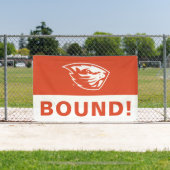 Banderoles Oregon State Beavers | Tête de castor (Insitu)