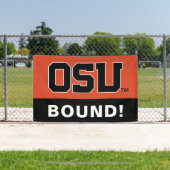 BANDEROLES OSU (Insitu)