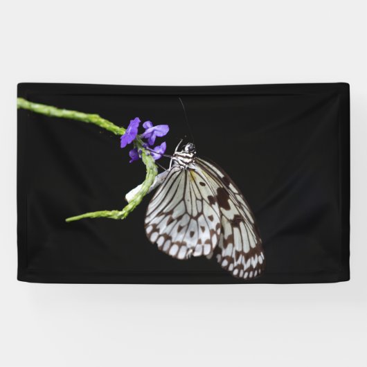 Banderoles Papillon (Horizontal)