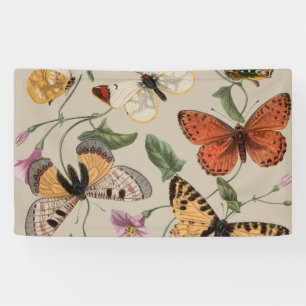 Banderoles Papillon Moth Nature Collection Dessin