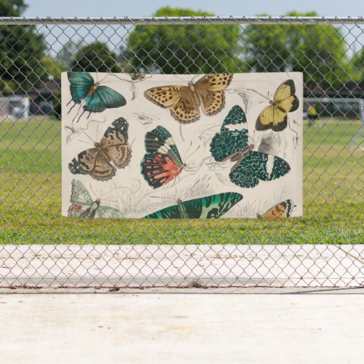 Banderoles Papillons Collection Antique Papillons (En situation)