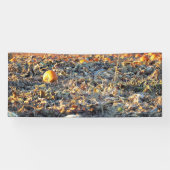 Banderoles Patch de citrouilles givré (Horizontal)