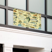 Banderoles Pêche scientifique vintage (Bâtiment extérieur)