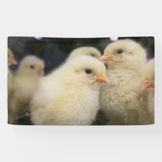 Banderoles Peeps (Horizontal)