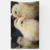 Banderoles Peeps (Vertical)