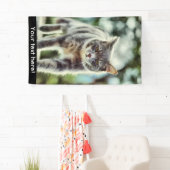 Banderoles Peinture de chat (En situation)
