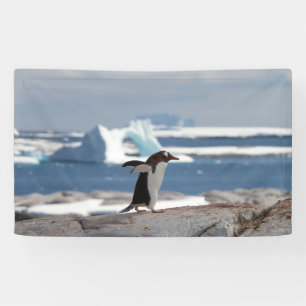 Banderoles Penguin in front of an ice arch