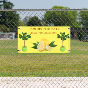 Banderoles Personnaliser les citrons à vendre Étalage de frui