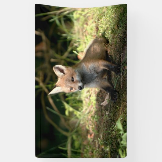 Banderoles Petit Cub (Vertical)