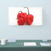 Banderoles Pimento doux (Salon professionnel)