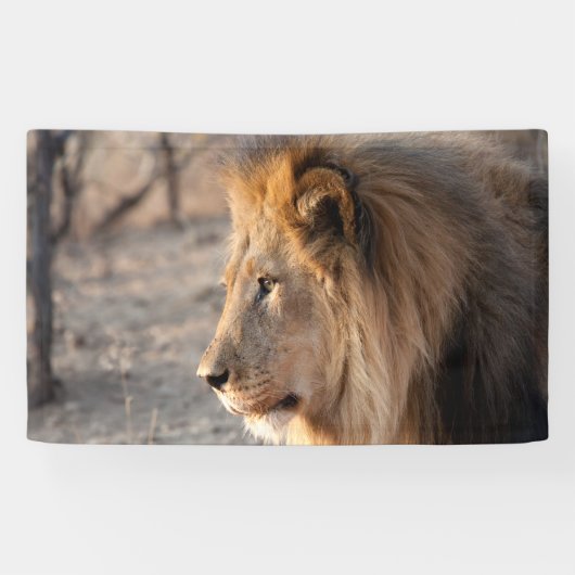 Banderoles Portrait de Lion (Horizontal)