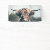 Banderoles Portrait de vache Highland (Insitu)