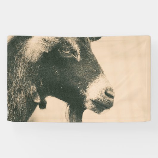 Banderoles Profil de chèvre (Horizontal)