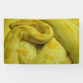 Banderoles Python birman jaune (Horizontal)