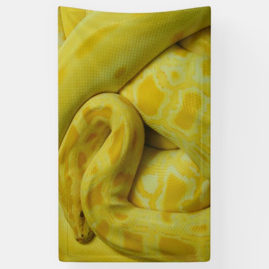 Banderoles Python birman jaune (Vertical)