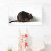 Banderoles Rat bnrcnm (En situation)