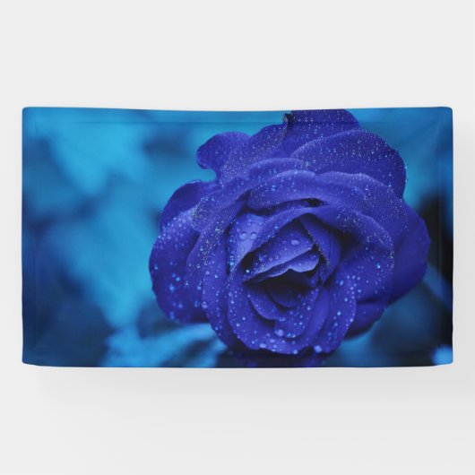 Banderoles Rose Dewdrop bleu (Horizontal)