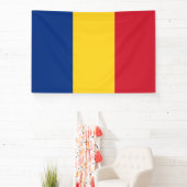 Banderoles Roumanie (Insitu)