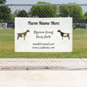 Banderoles Salon de chèvre laitière nigérian (En situation)